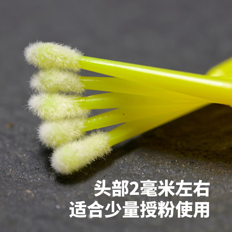 果蔬綠植多肉人工授粉筆授粉神器通用授粉棒工具點(diǎn)花器羅漢果草莓 基礎(chǔ)款10根