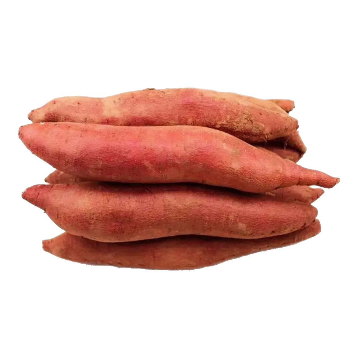 �������� �ع� ���� �������� �л��� ������ʳ ����ֱ����ʴ��� 3���װ ���й���[����]