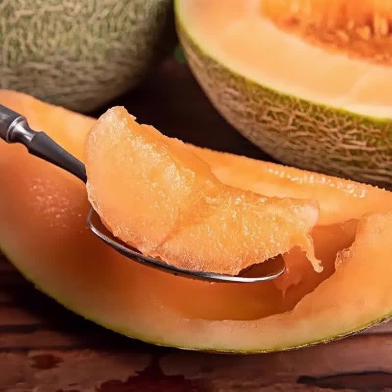 BUY哈密瓜 当季新鲜水果甜一整箱包邮现摘网纹瓜老汉瓜西州蜜 带箱5斤