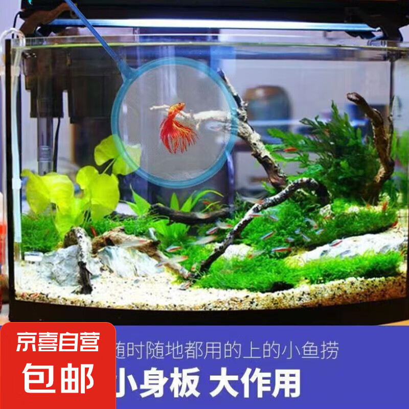魚缸撈魚網(wǎng)撈魚蝦撈密網(wǎng)手抄網(wǎng)家用伸縮魚網(wǎng)撈漁網(wǎng) 親子家庭玩具 大號1個