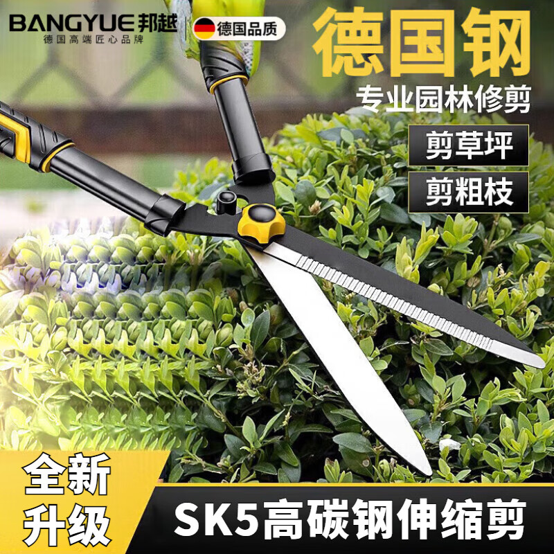 邦越德國剪樹枝剪刀高空長柄大開口果樹粗樹枝專用加長樹枝專用園林 【標準款】綠籬剪-鏤空直刃-SK5刀頭