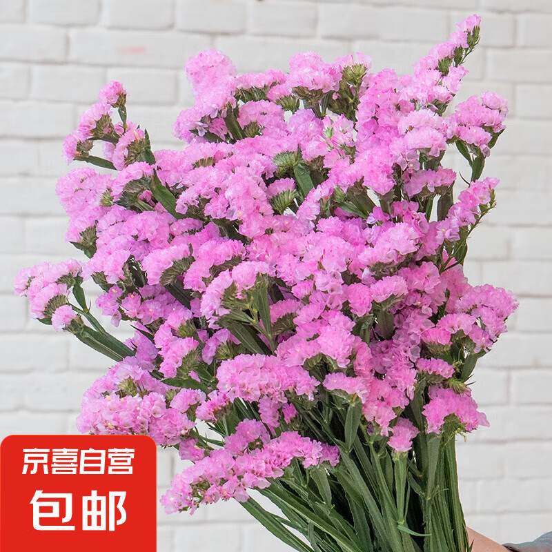 �������ʻ���ɻ������ϻ���ֱ�������ӼҲ廨�����ɻ� ���ɫ������500g