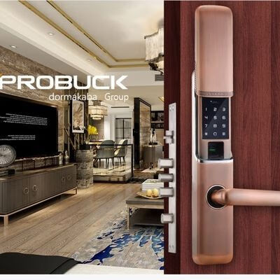 普罗巴克普罗巴克Probuck/Longbel/kaba卡巴指纹锁密码锁F306铜门定制专用 普罗巴克指纹密码锁
