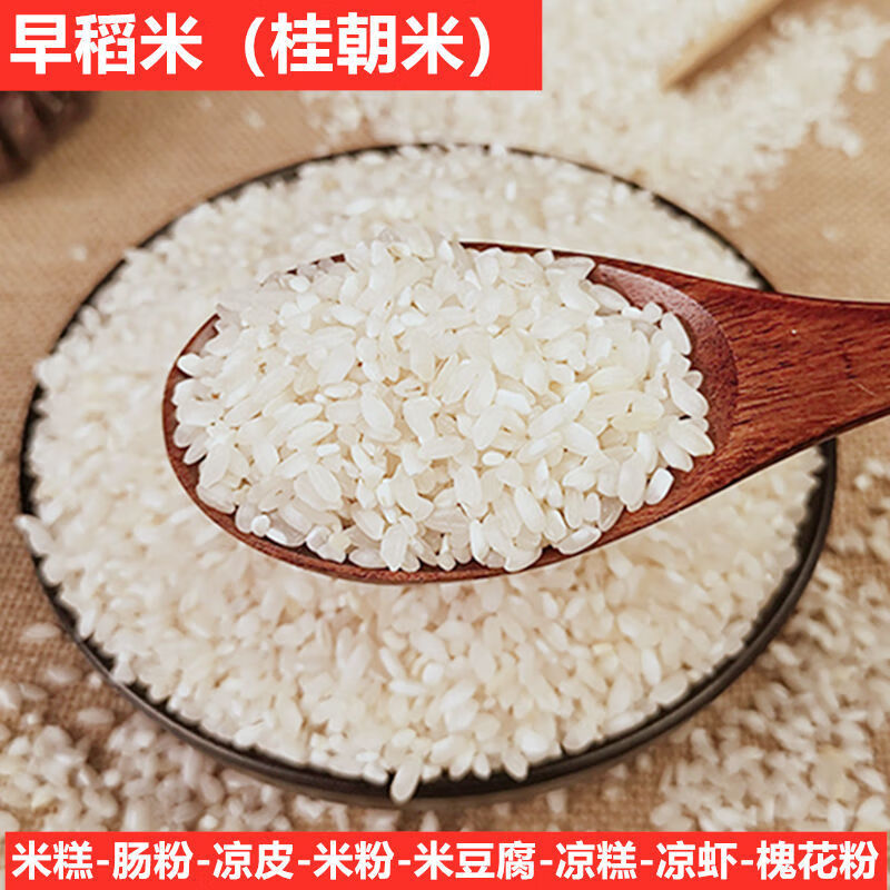 早稻米早秈米不粘糙米腸粉米粉涼糕蝦米豆腐涼皮農(nóng)家無粘性早谷米 3斤米