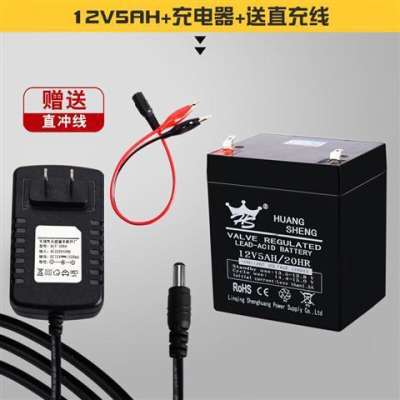 6伏V4V4.5V7v10AH12v7儿童电动车玩具摩托汽车蓄电池童车电瓶 皇盛天威12V5ah+充电器+直充线