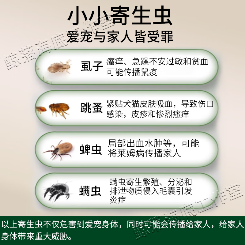 草之萃狗狗沐浴露驱虫持久除臭清洁止痒除螨清洁洗护一体留香持久洗澡用 500ml 1瓶 【升级款】除虫效果翻倍
