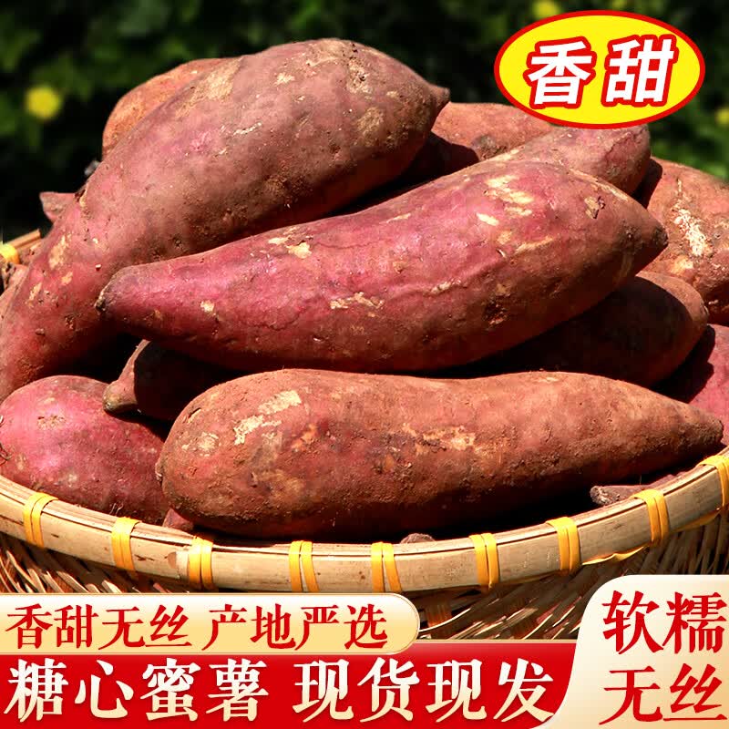 黔婆婆红薯新鲜地瓜农家沙地红薯香甜软糯番薯中果 新鲜红薯   带箱5斤