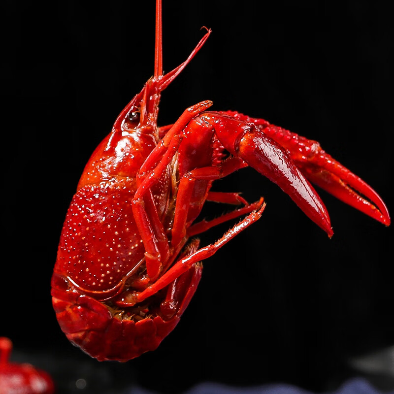 盱眙龙虾麻辣虾尾250g袋装 国家地标产品 麻辣虾尾250g*4袋装