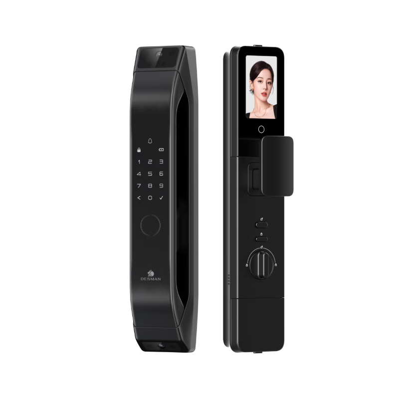 ʩDESMANè۴ָƵʥ Q5FPro() ҹ