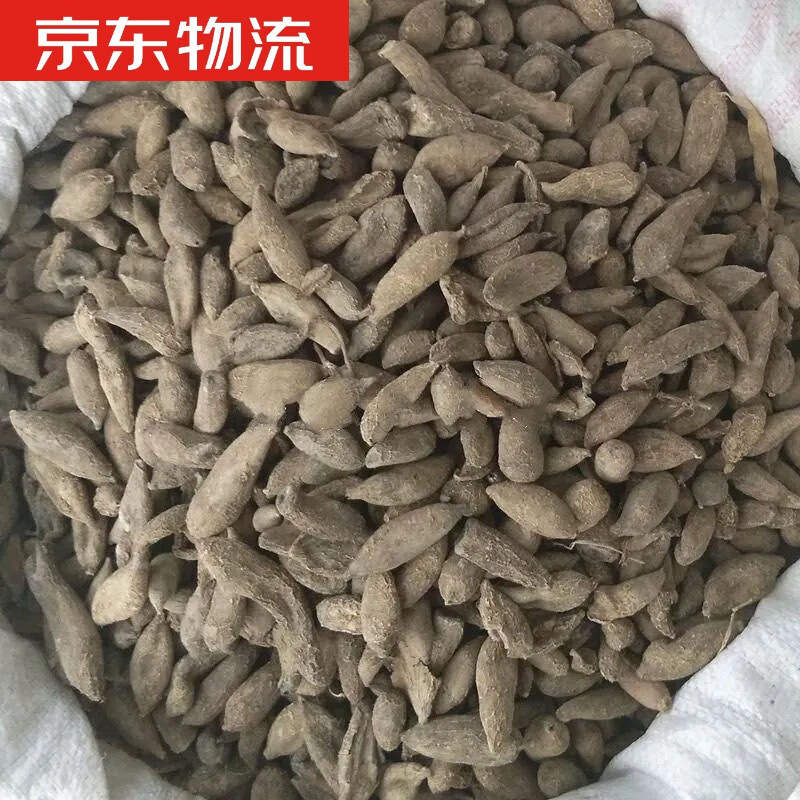 补脑草 泡酒 250克