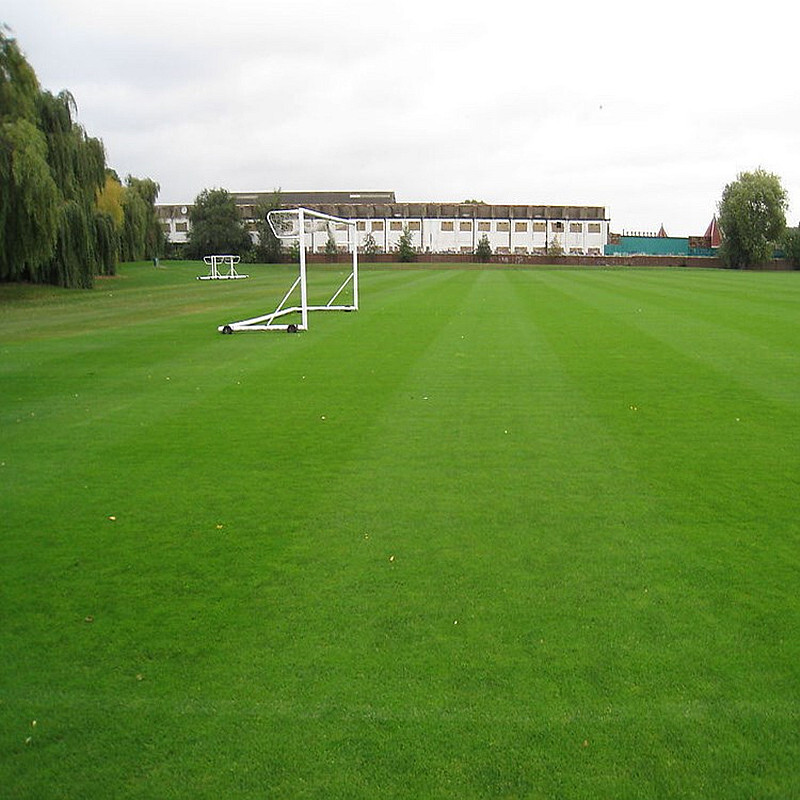 在京东怎么查花草林木类历史价格|花草林木类价格比较