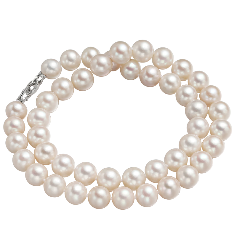 ڲ  9.3-10.3mm974Ԫ