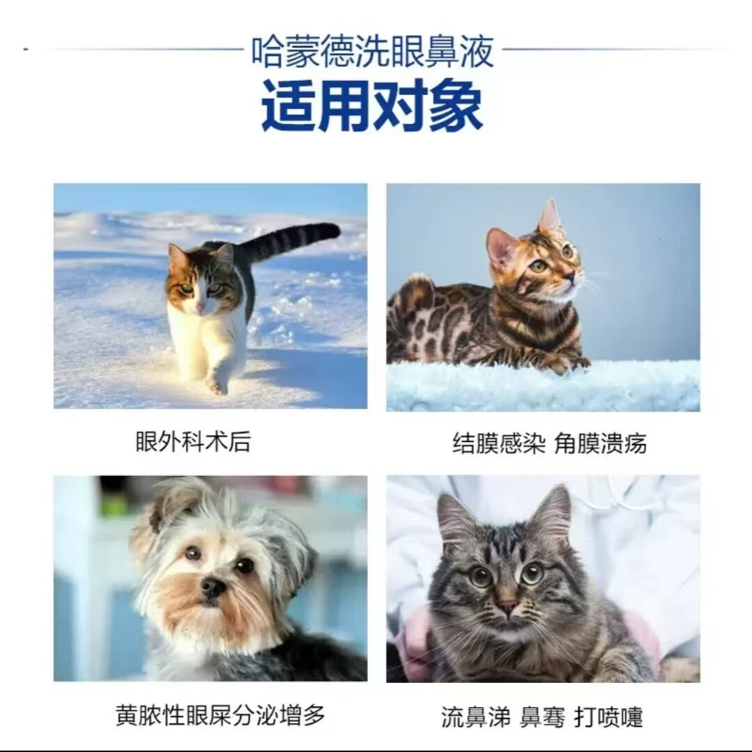 蒙畜康哈蒙德滴眼滴鼻液猫鼻支打喷嚏杯状病毒结膜炎更昔洛韦8ml
