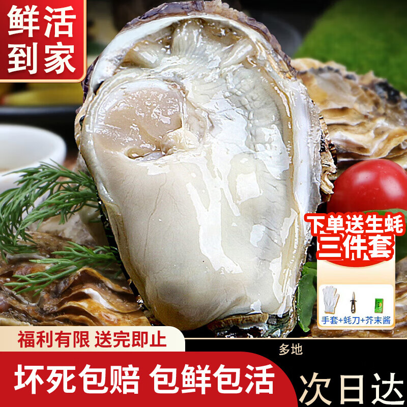 龙味福【活鲜】生蚝 乳山牡蛎 新鲜海蛎子生鲜贝类 【不好包赔】6XL带箱10斤(12-15只)