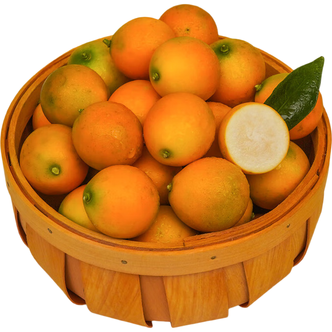 京鲜生 广西滑皮金桔1.8斤装 单果10g起 桔橘新鲜水果礼盒 源头直发包邮