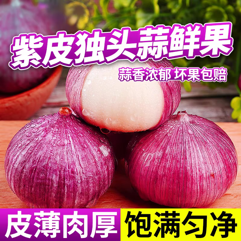 云南紫皮獨頭蒜 大蒜蒜頭 新鮮蔬菜 新鮮紫皮蒜 精選5斤【中果2.5-3.0cm】