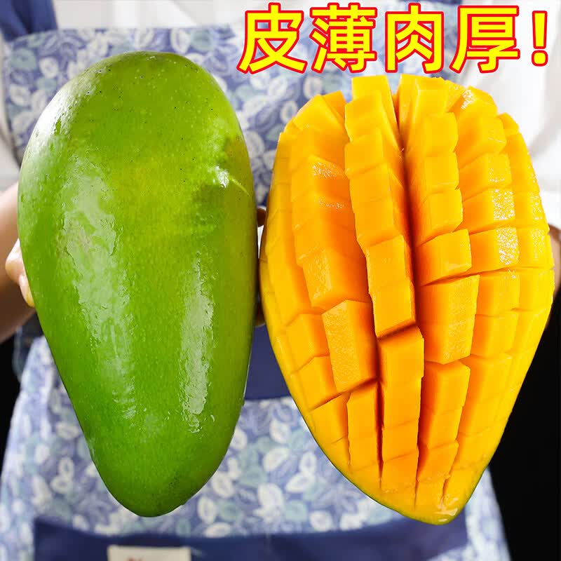 鲜福林现货越南进口大青芒水果当季新鲜甜心芒果大芒果包邮 净重4.5斤(单果400g起)