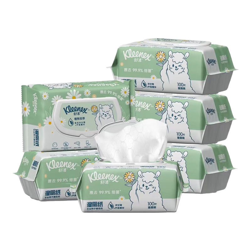 ���ڲ�������� ʪ��ֽ 600��