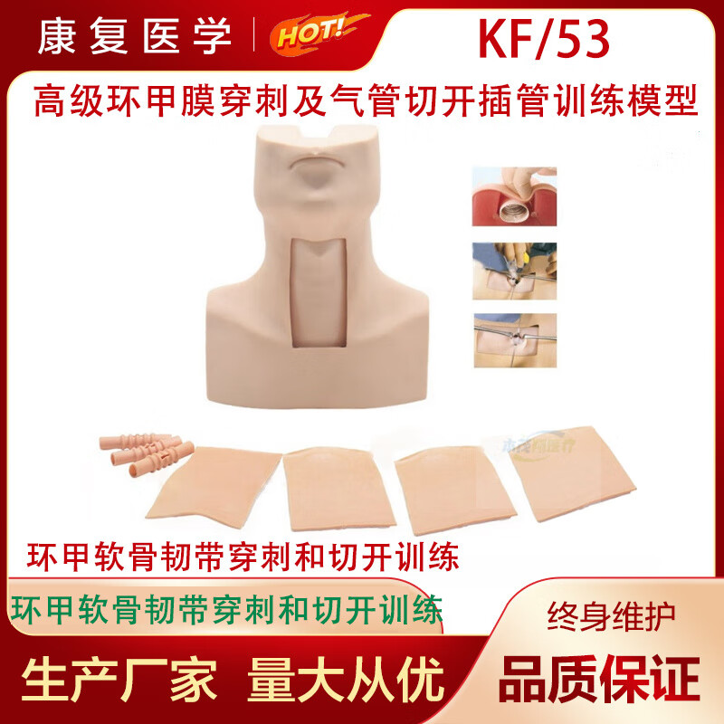 通用环状软骨气管切开术训练环甲膜穿刺及气管切开插管训练模型