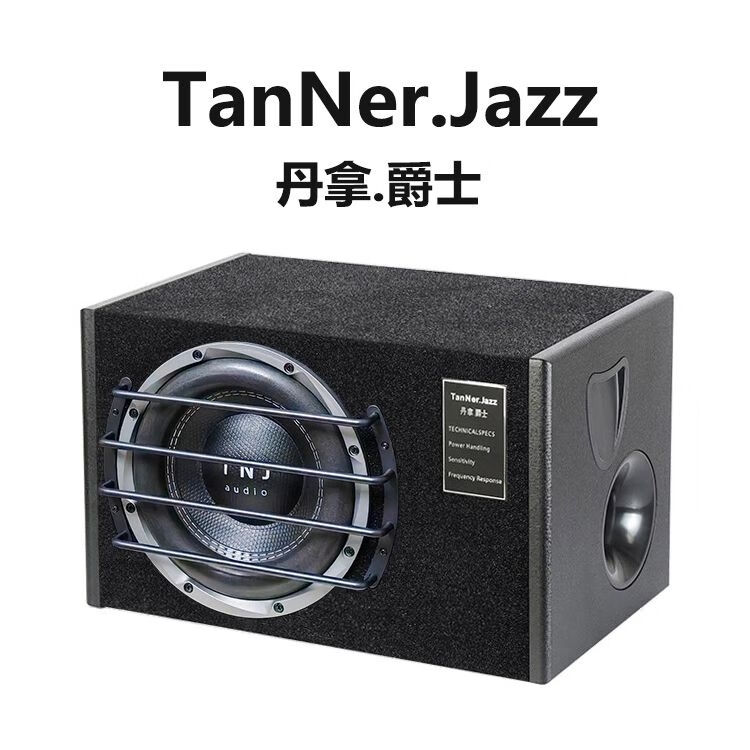 丹拿（DYNAUDIO）12v汽車音響車載超重低音炮10寸有源低音炮大功率后備箱改裝音箱 10寸重低音302DA 帶線 不包安裝