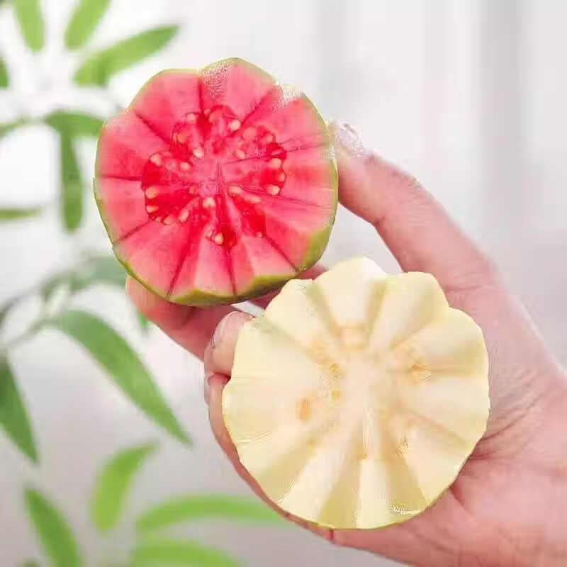 颜小荭芭乐双拼软糯奶油芭乐脆口红白心双拼芭乐组合新鲜水果当季番石榴 2.8-3斤芭乐双拼组合