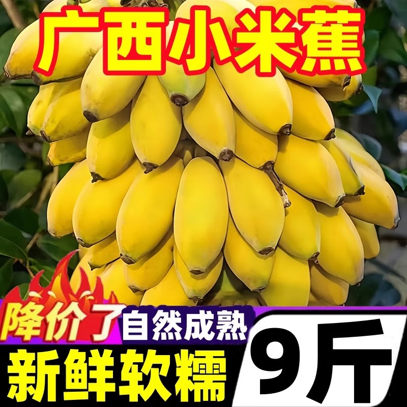 ����ү��������С�׽���Ȼ���㽶����ˮ���ʵ۽�����10����ƻ���Ž��� 9�������Ȼ�졿 31.8Ԫ