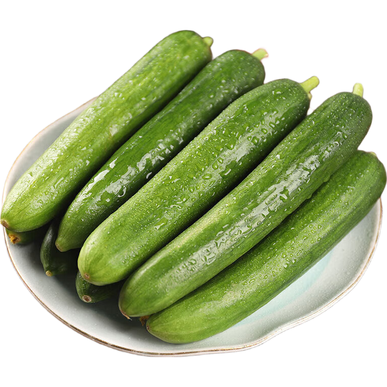佳农宝菜 水果小黄瓜 净重4斤 现摘现发健康轻食 源头直发