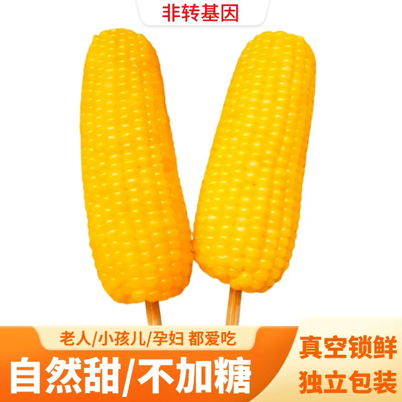 内蒙古巴彦淖尔沙漠甜糯玉米新鲜糯玉米真空包装非转基因蒸煮 220克*10根