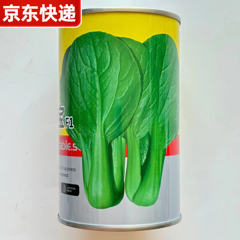 华宝杂交青梗菜种籽抗病杂交青梗华青青梗菜种子春夏