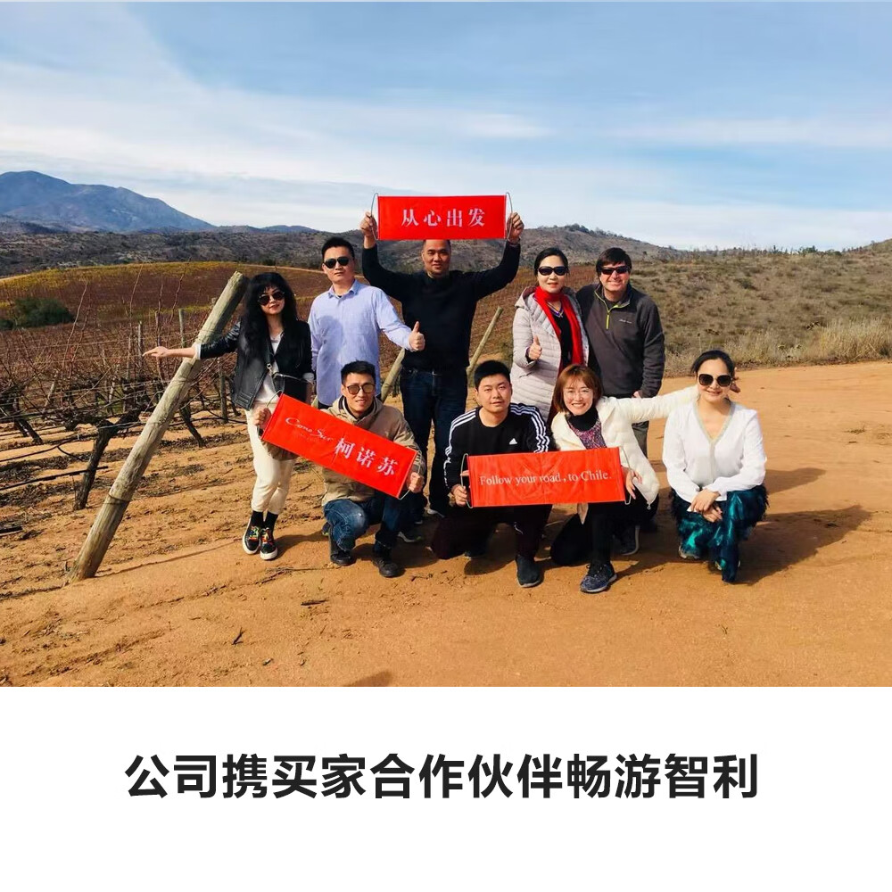 柯诺苏Conosur|智利干露集团红酒|1551赤霞珠干红葡萄酒红酒|原瓶进口 六支装