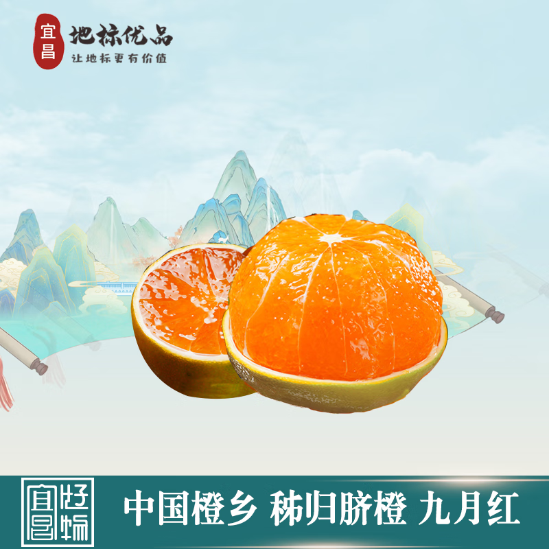 秭归脐橙【宜昌地标】正宗秭归当季新鲜纽荷尔橙酸甜整箱现摘九月红果冻橙 九月红 9斤装精品果