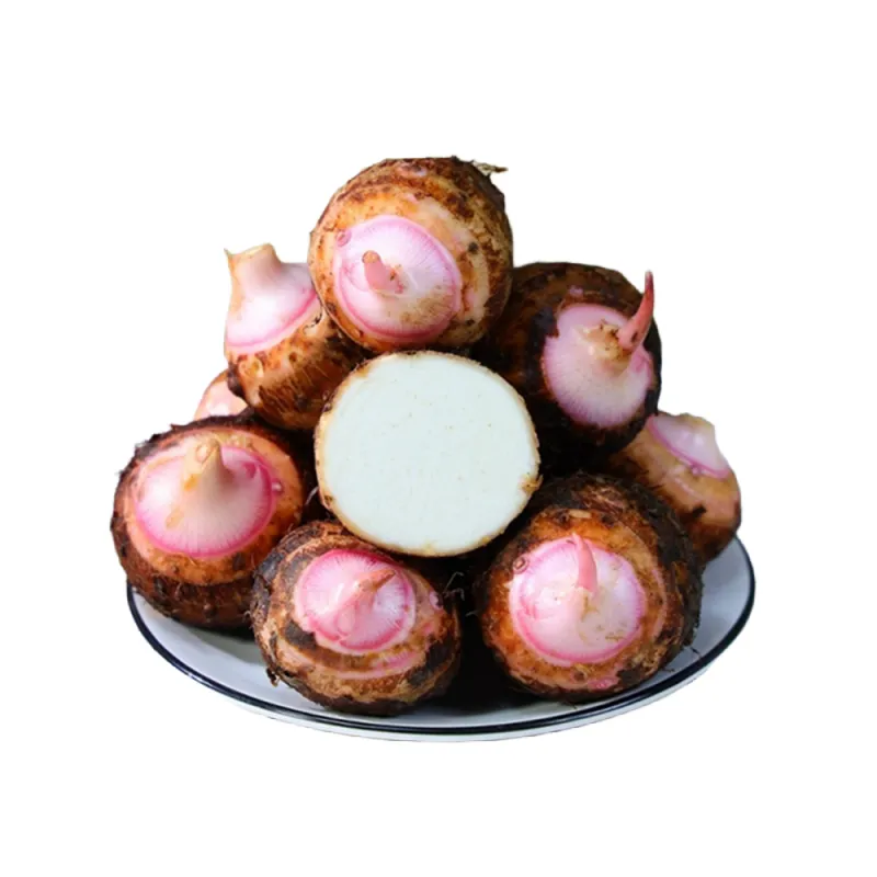 浙江金华新鲜现挖红芽芋头仔红嘴小毛芋头香芋艿软粘粉糯自种蔬菜 5.3斤精选大果【80-150克/个】