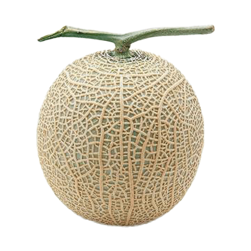 京觅海南西州蜜晓蜜25号哈密瓜净重4.5-5斤单果2.3斤水果源头直发