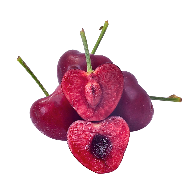 ԣũ�� ���������Ӵ�ӣ�� 2J������� 0.8�ﾻ�� ˳�����ʽ������ ����������27.9Ԫ