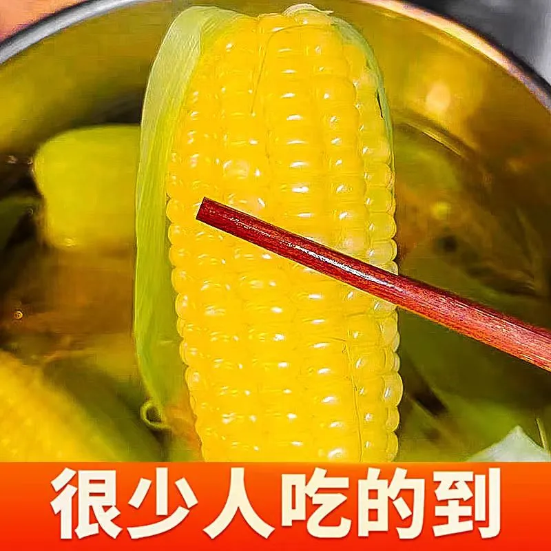 内蒙古巴彦淖尔沙漠甜糯玉米新鲜糯玉米真空包装非转基因蒸煮 220克*10根