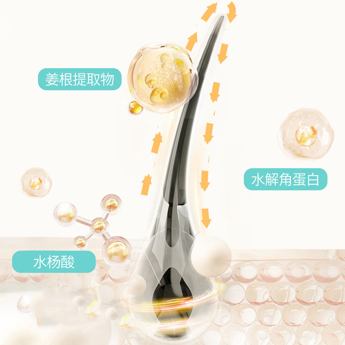 片仔癀非凡防断发洗发水皇后洗发露清爽控油去屑护发柔顺清洁去头屑国货 防断发洗发水 480ml*1瓶