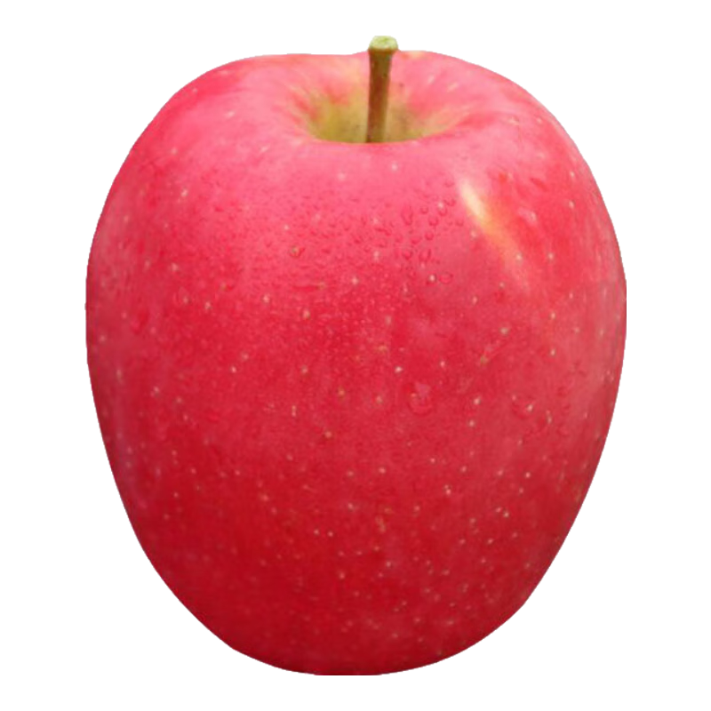 ������Ʒ�����ƻ����������ˮ��������ˮ�����ˮ���߶�ƻ����԰ֱ�� 4.5��ʵ��װС��13-15ö