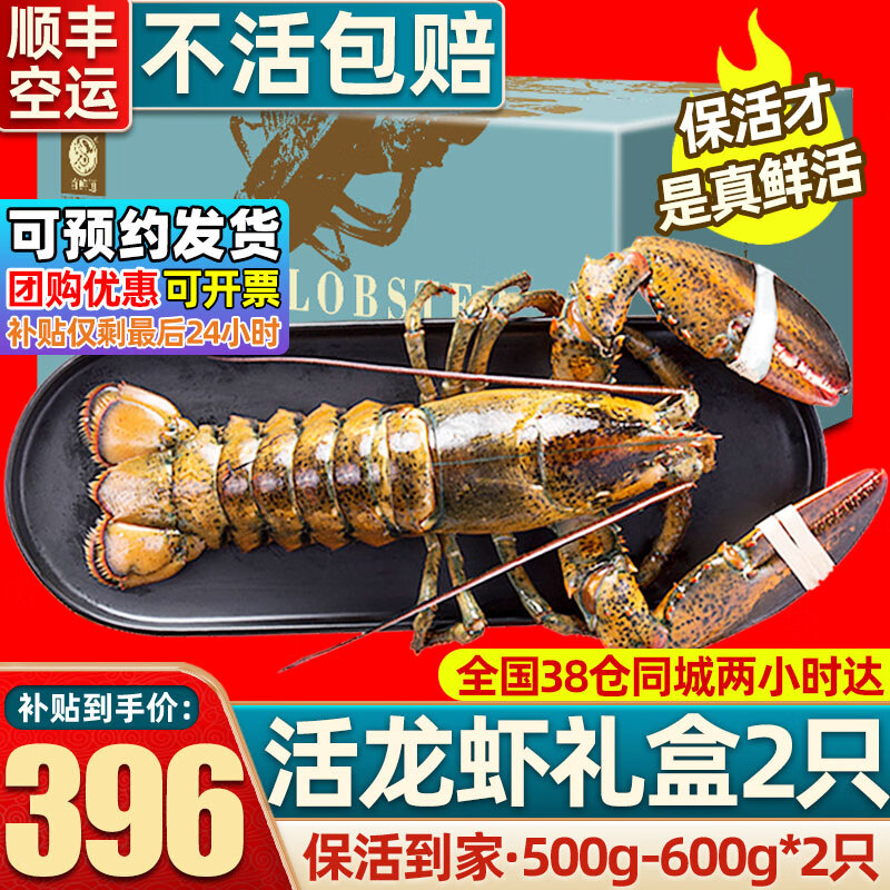 首鮮道【活鮮】波士頓龍蝦鮮活波龍 大龍蝦海鮮鮮活禮盒大蝦年貨禮盒 500-600g/只大龍蝦*2只