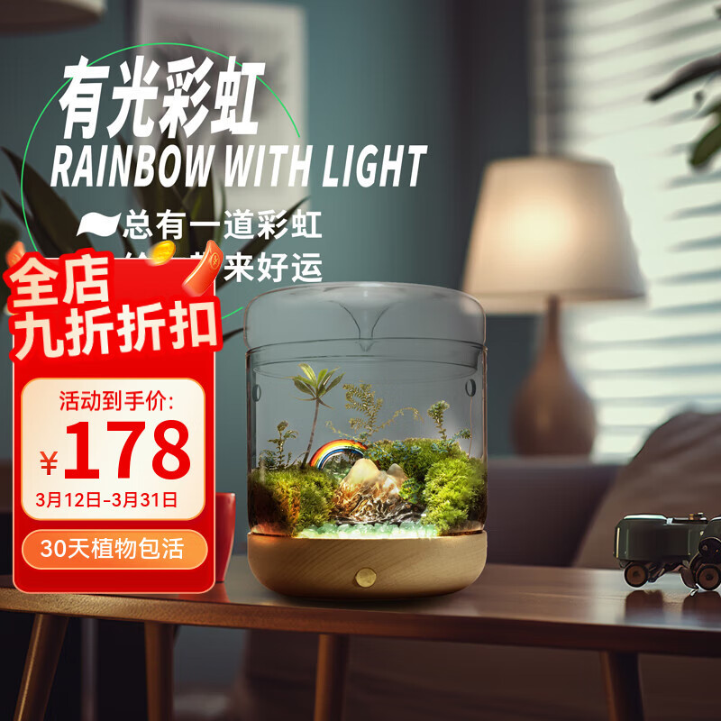 ����̦޺΢������̬ƿDIY�칫������ֲ����С���԰ڼ�����ֲ������ �й�ʺ磨���