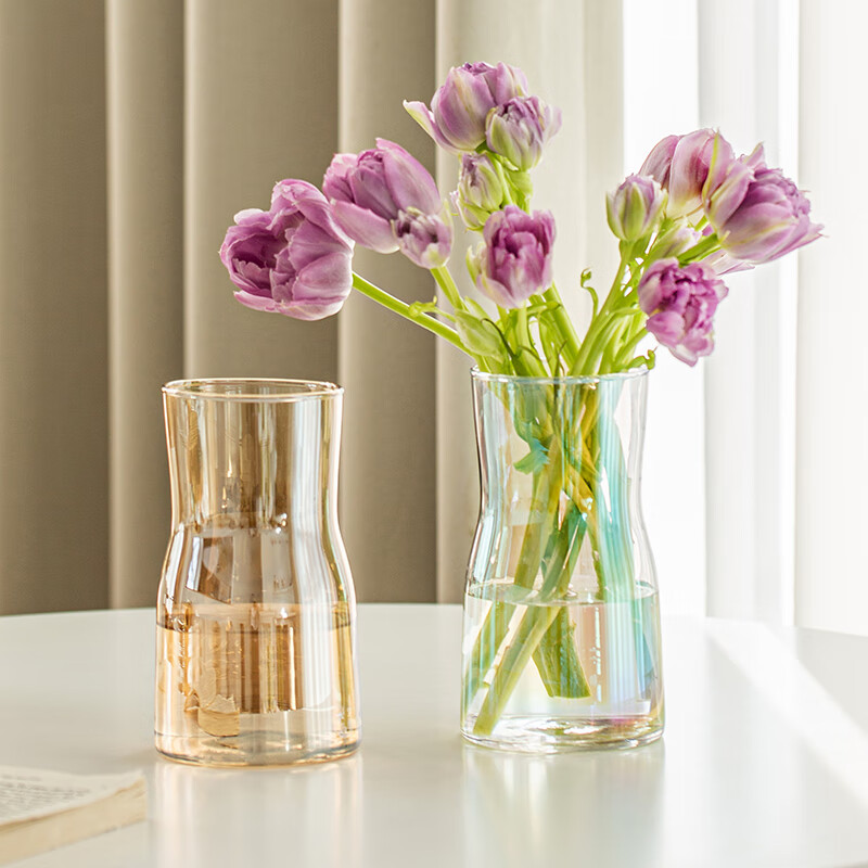 ���⻨ƿ�ڼ������廨����͸��õ���ʻ�������칫�����������ԼС ���� ����͸