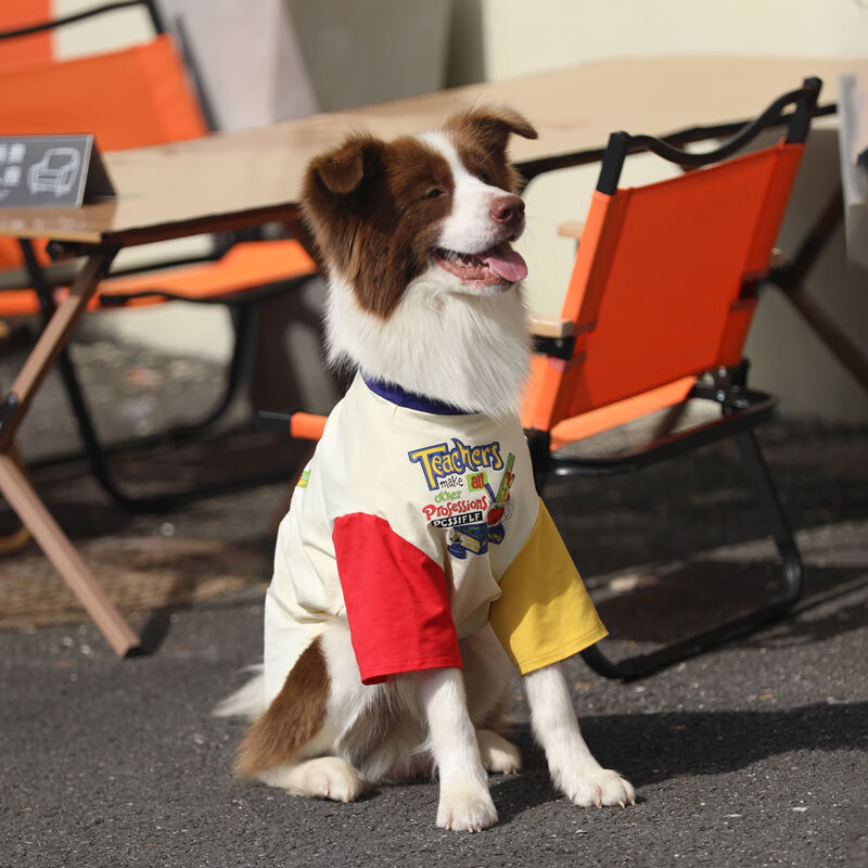 狗狗衣服大型犬夏季撞色金毛拉布拉多衣服邊牧巨貴薄款大狗衣服夏 杏色 L(6-8斤小狗)