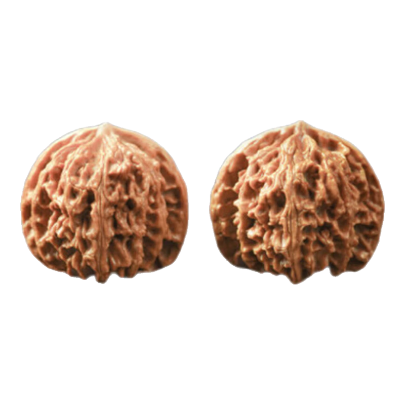 ���ڲ�������ԵС����Ȼ����������ǰ�ʨ��ͷ�ղؼ��Ƽ�����ƻ��԰����¥��Ʒ�ְѼ� ���ղؼ���ƻ��԰ʨ��ͷ40mm 104.5Ԫ