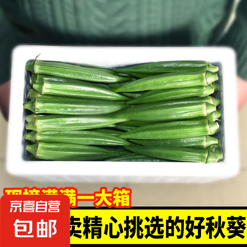 新鮮水果秋葵蔬菜新鮮現(xiàn)摘現(xiàn)發(fā)當(dāng)季蔬菜秋葵 現(xiàn)摘水果秋葵 2斤