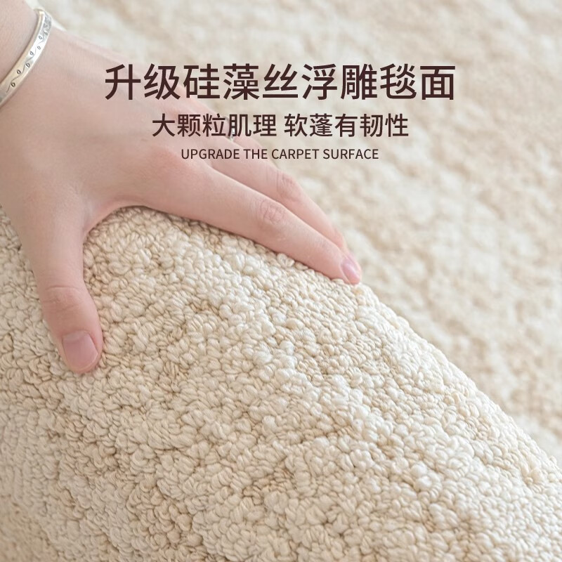著忆地毯客厅2025新款大面积全铺防水防污免洗可擦高级感硅藻丝沙发毯 硅藻丝-菠萝圈中灰 200×300cm(现货)