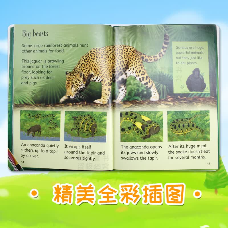 Usborne Beginners 尤斯伯恩初学者 初探系列 自然 动物 儿童科普百科绘本