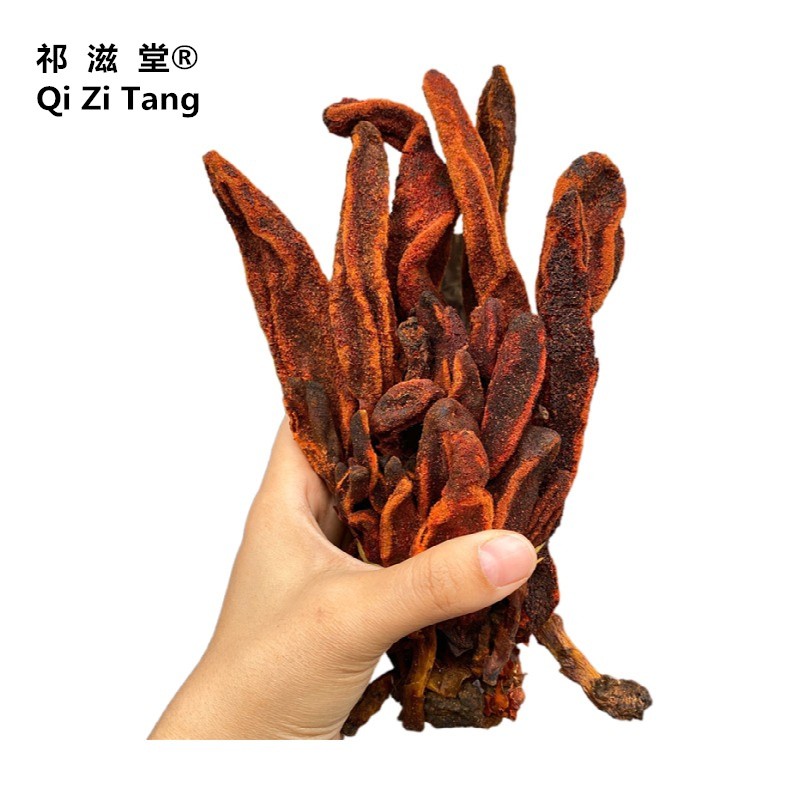祁滋堂回春草泡水250克中药材回心草野生不老草云南回形草干泡酒回春