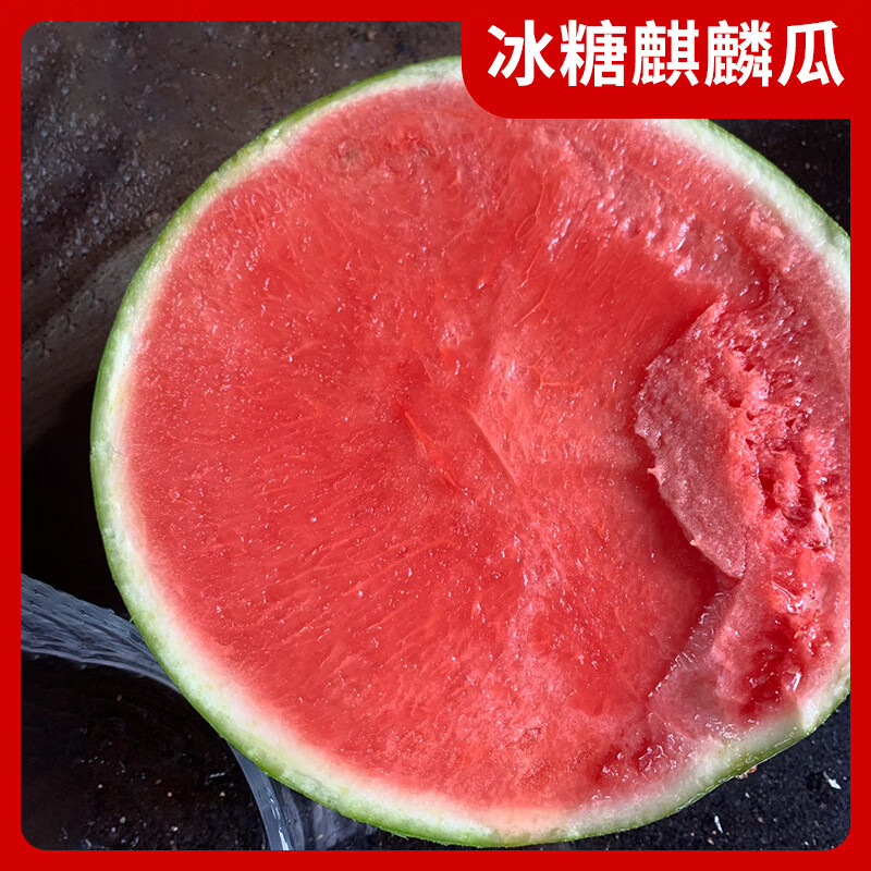 臨雅冰糖麒麟西瓜種籽南方無籽高產(chǎn)大西瓜四季西瓜苗秧8424甜瓜種子孑 []冰糖麒麟842450粒A
