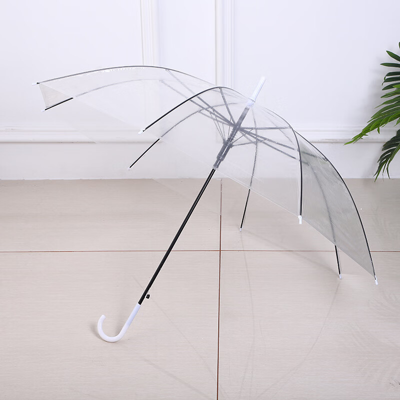 【廠家直供】創(chuàng)意小清新長柄透明傘彩色直桿透明雨傘自動傘 透明色