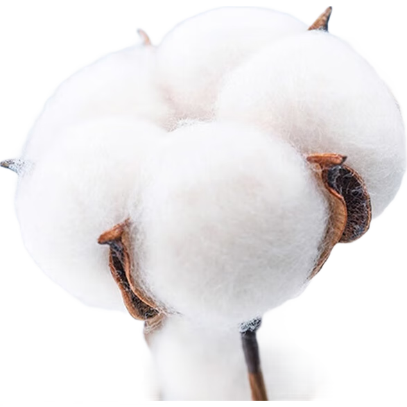 ���ڲ�����ŷ�Ϸҡ�10A�����ӳ���˿�ɡ�Ůʿ�ڿ�Ů��������͸�����Ƕ̿�4��XL