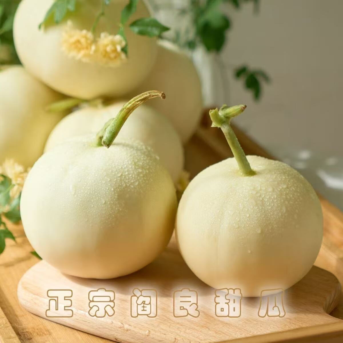 沁园秋陕西阎良甜瓜头茬小籽甜瓜香甜爆汁当季现摘新鲜水果 家庭装阎良甜瓜净重4.5-5斤（2-6枚）